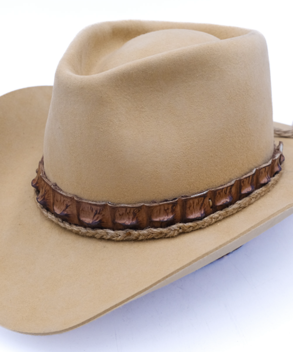Clean Cut Caiman